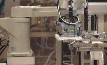 セル・ハンドリング